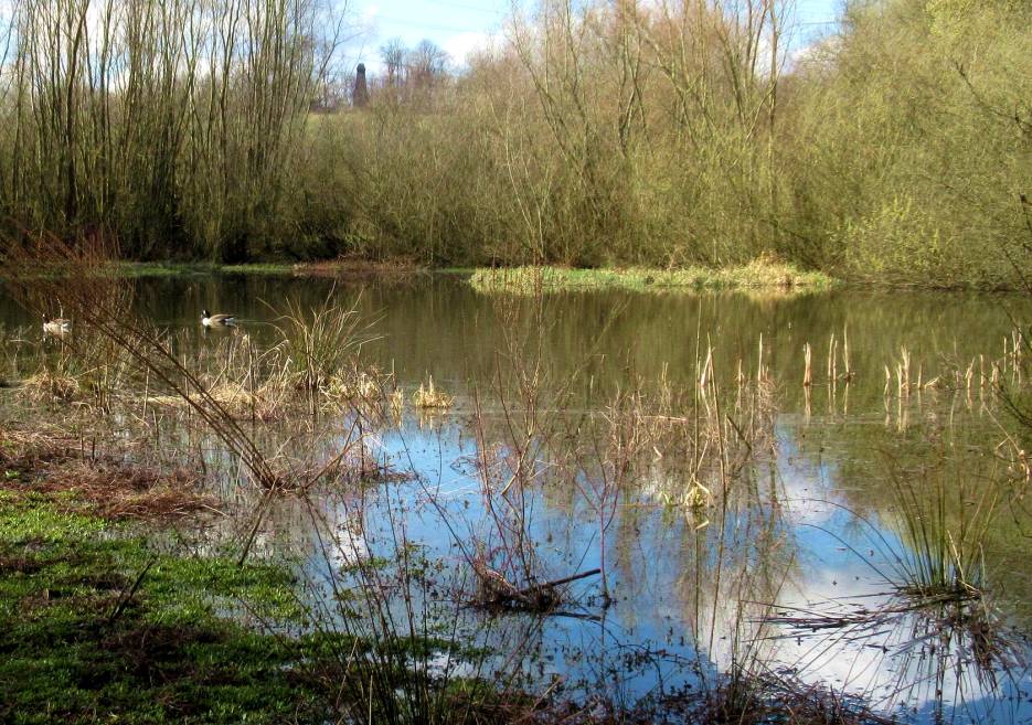 biotope-rotthausen