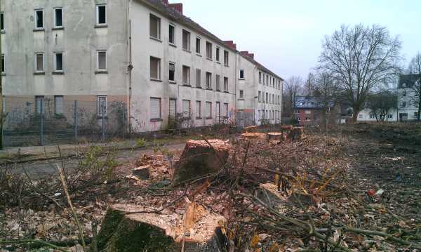 garnbleiche