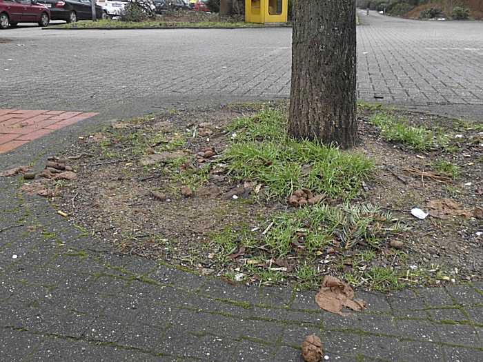 Schei&szlig;haus f&uuml;r Hunde